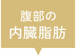 腹部の内臓脂肪