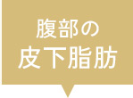 腹部の皮下脂肪