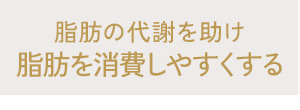 脂肪を消費しやすくする