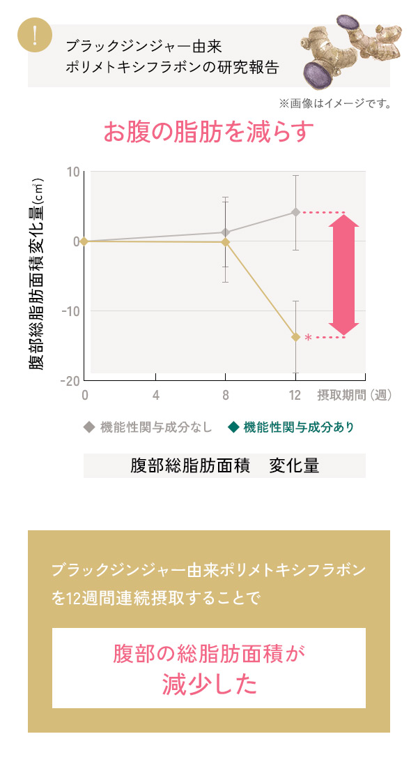 お腹の脂肪を減らす