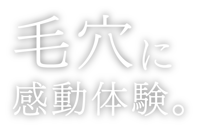 毛穴に感動体験