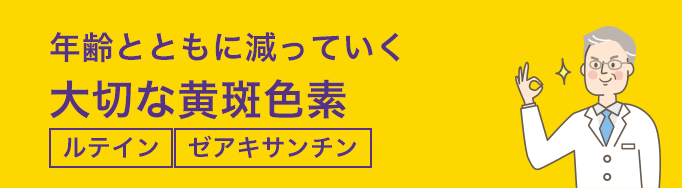 年齢とともに減っていく大切な黄斑色素 ルテイン・ゼアキサンチン