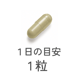 1日の目安1粒