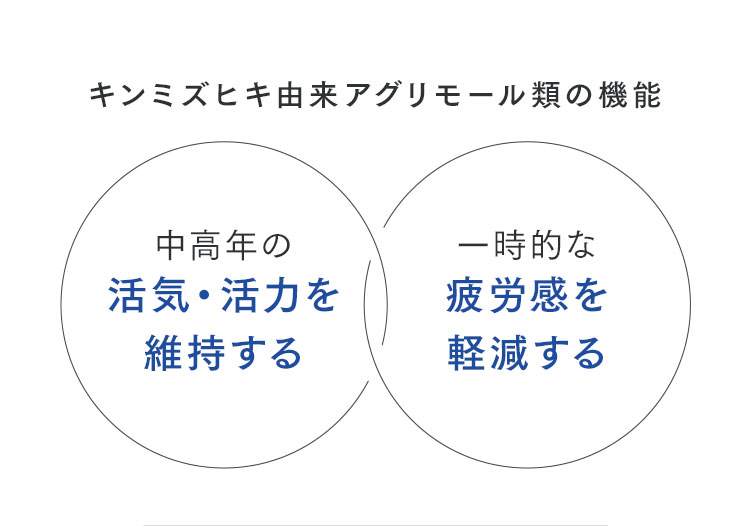 キンミズヒキ由来アグリモール類の機能 中高年の活気・活力を維持する / 一時的な疲労感を軽減する