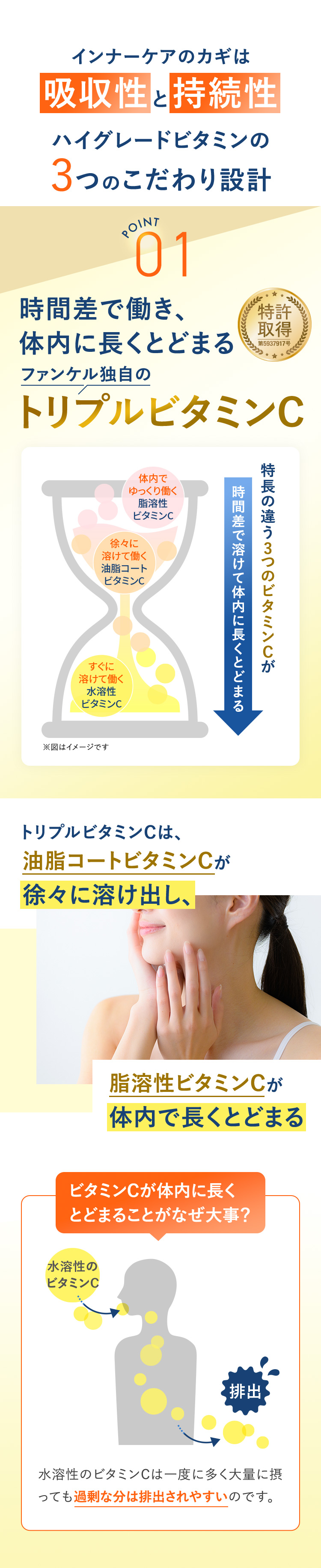 インナーケアのカギは吸収性と持続性　ハイグレードビタミンの3つのこだわり設計　ポイント01時間差で働き、体内に長くとどまるファンケル独自のトリプルビタミンC