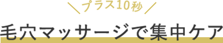 プラス10秒 毛穴マッサージで集中ケア