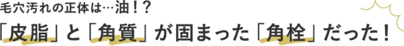 毛穴汚れの正体は…油！？「皮脂」と「角質」が固まった「角栓」だった！