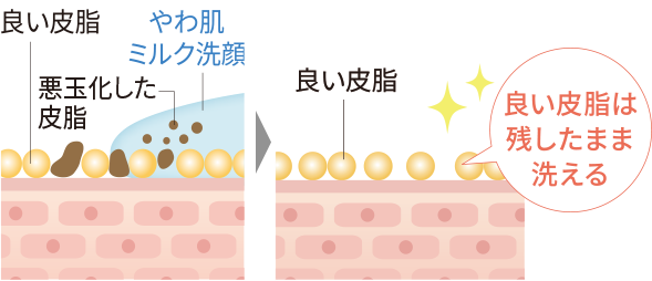 肌のイメージ