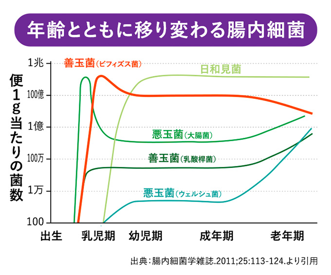 年齢とともに移り変わる腸内細菌グラフ