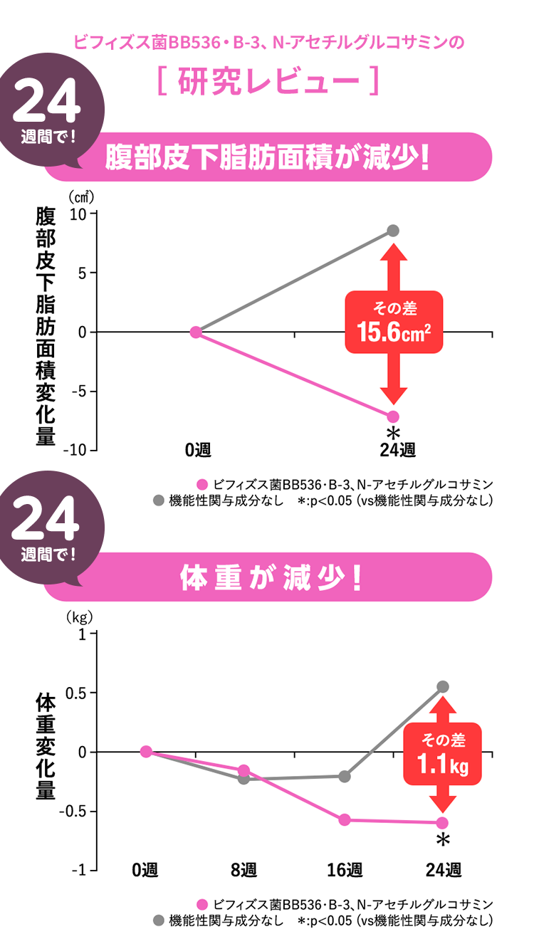 ビフィズス菌BB536・B-3、N-アセチルグルコサミンの[ 研究レビュー ]