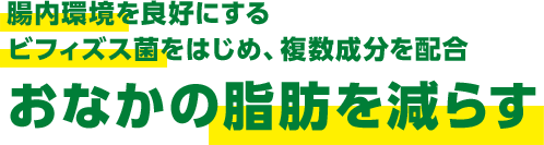 腸内環境を良好にするビフィズス菌をはじめ、複数成分を配合 おなかの脂肪を減らす