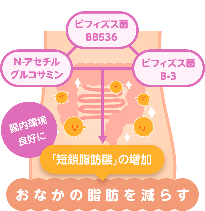 腸内環境良好に 「短鎖脂肪酸」の増加 おなかの脂肪を減らす