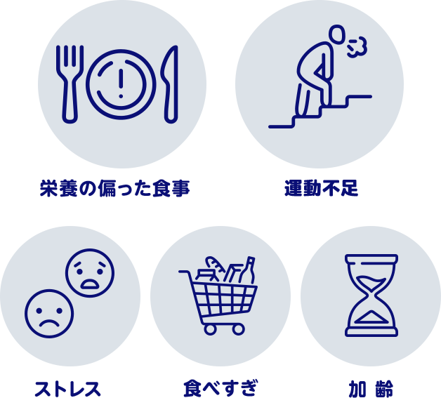栄養の偏った食事 運動不足 ストレス 食べすぎ 加齢