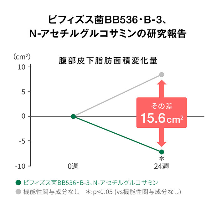 ビフィズス菌88536·8-3 、N —アセチルグルコサミンの研究報告 腹部皮下脂肪面積変化量 0週〜24週 その差15.6cm ●ビフィズス菌B8536 • B-3 、N —アセチルグルコサミン 機能性関与成分なし*:p< 0.05（vs機能性関与成分なし）