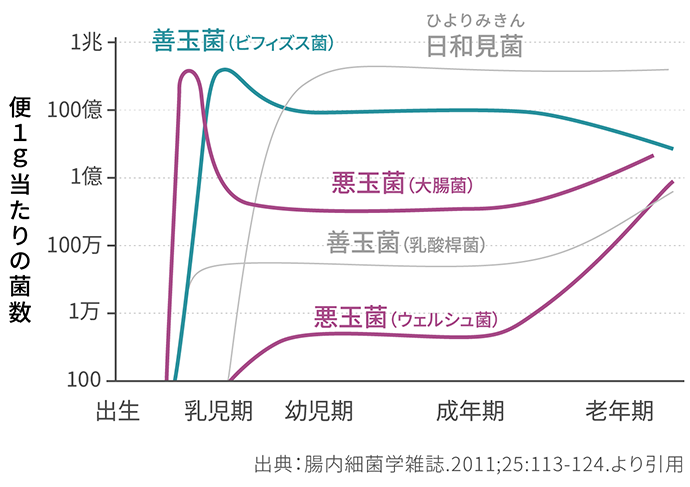 便1g当たりの菌数グラフ