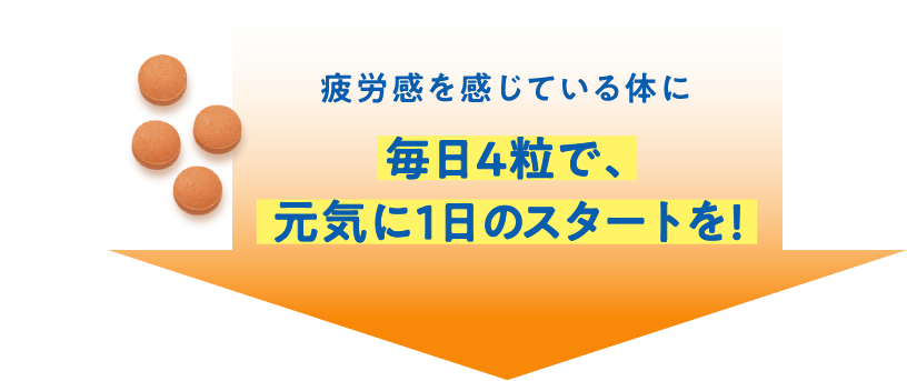 疲労感を感じている体に 毎日4粒で、元気に1日のスタートを！