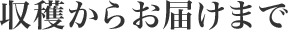 収穫からお届けまで