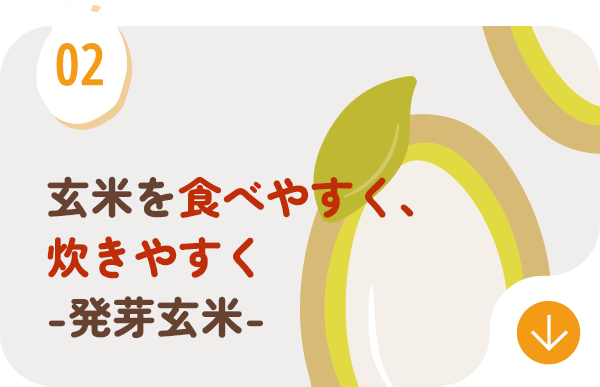 玄米を食べやすく、炊きやすく-発芽玄米-