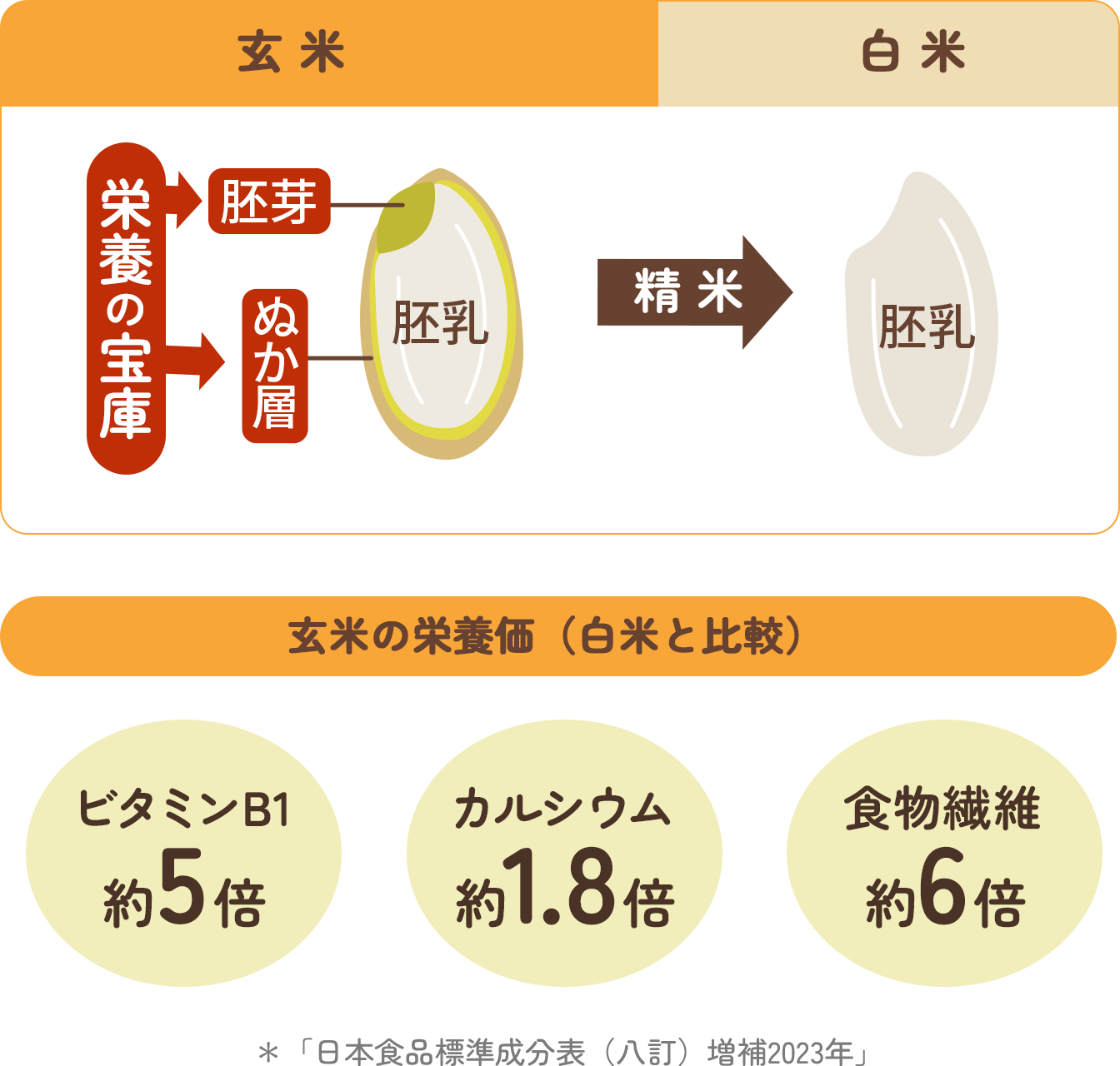 「日本食品標準成分表（八訂）増補2023年」