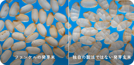 ファンケルの発芽米と独自の製法ではない発芽玄米との比較