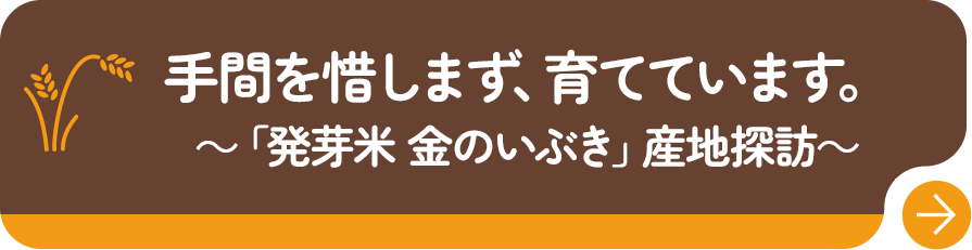 手間を惜しまず、育てています。