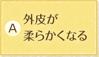 外皮が柔らかくなる