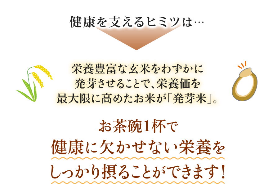健康を支えるヒミツは… 栄養豊富な玄米をわずかに発芽させることで、栄養価を最大限に高めたお米が「発芽米」。 お茶碗１杯で健康に欠かせない栄養をしっかり摂ることができます！