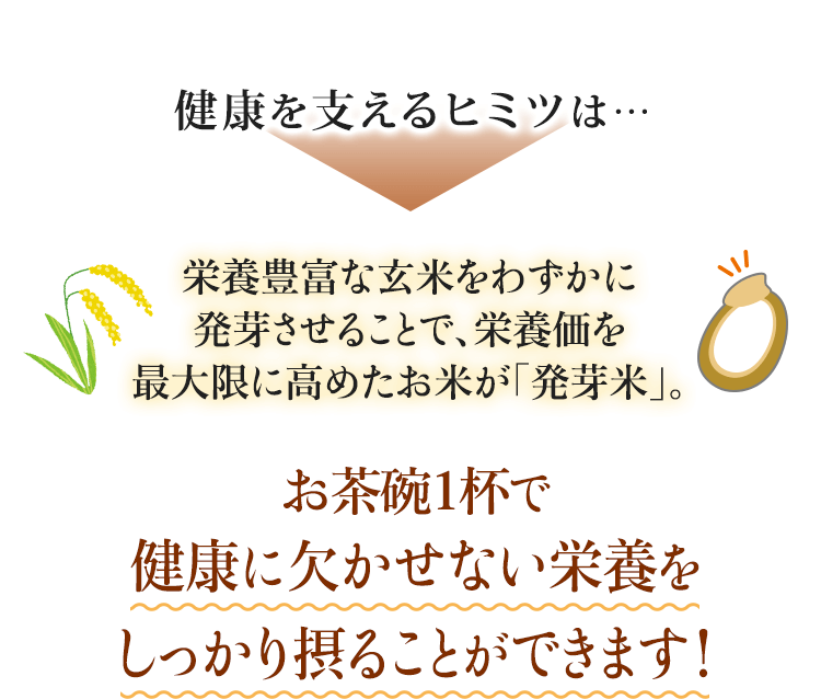 健康を支えるヒミツは… 栄養豊富な玄米をわずかに発芽させることで、栄養価を最大限に高めたお米が「発芽米」。 お茶碗１杯で健康に欠かせない栄養をしっかり摂ることができます！