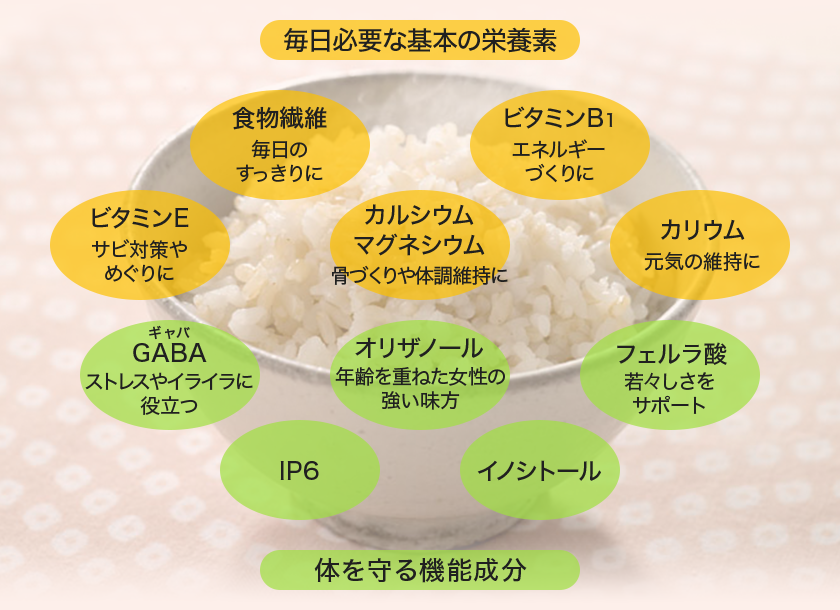 毎日必要な基本の栄養素 食物繊維 毎日のすっきりに ビタミンB1 エネルギーづくりに ビタミンE サビ対策やめぐりに カルシウム マグネシウム 骨づくりや体調維持に カリウム 元気の維持に GABA（ギャバ） ストレスやイライラに役立つ オリザノール 年齢を重ねた女性の強い味方 フェルラ酸 若々しさをサポート IP6 イノシトール 体を守る機能成分