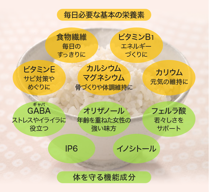 毎日必要な基本の栄養素 食物繊維 毎日のすっきりに ビタミンB1 エネルギーづくりに ビタミンE サビ対策やめぐりに カルシウム マグネシウム 骨づくりや体調維持に カリウム 元気の維持に GABA（ギャバ） ストレスやイライラに役立つ オリザノール 年齢を重ねた女性の強い味方 フェルラ酸 若々しさをサポート IP6 イノシトール 体を守る機能成分