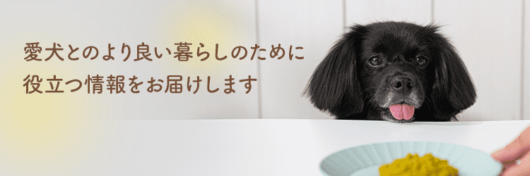 愛犬とのより良い暮らしのために役立つ情報をお届けします