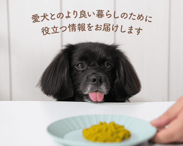 愛犬とのより良い暮らしのために役立つ情報をお届けします