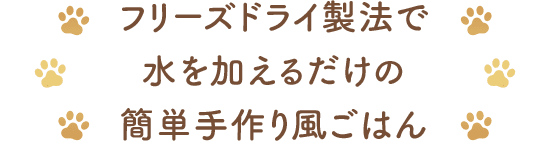 ファンケル グーディッシュ フィッシュベース 1箱おまけ3個付き ファンケル グーディッシュ フィッシュベース 1箱おまけ3個付き