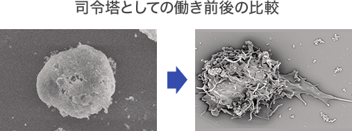 司令塔としての働き前後の比較