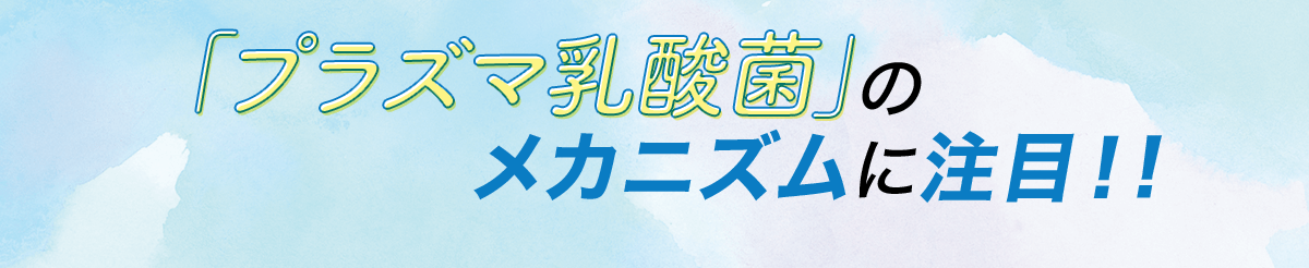 「プラズマ乳酸菌」のメカニズムに注目！