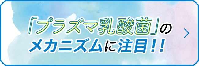 「プラズマ乳酸菌」のメカニズムに注目!!