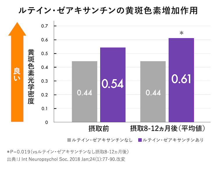 【グラフ】ルテイン・ゼアキサンチンの黄斑色素増加作用