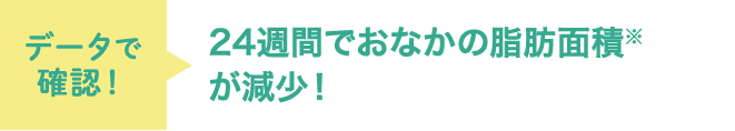 データで確認！ 24週間でおなかの脂肪面積※が減少！