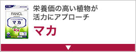 栄養価の高い植物が活力にアプローチマカ