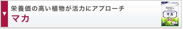 栄養価の高い植物が活力にアプローチマカ
