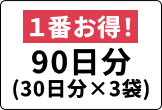 一番お得！ 90日分
