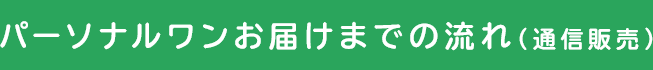 パーソナルワンお届けまでの流れ（通信販売）