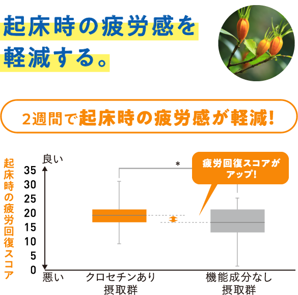 成長ホルモンの分泌を増やし、起床時の疲労感を軽減する。