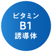 ビタミンB1誘導体