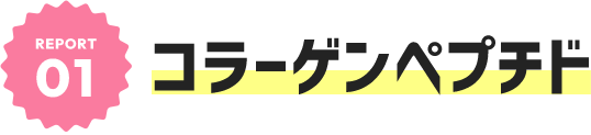 REPORT01 コラーゲンペプチド
