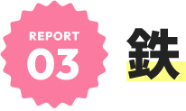 REPORT02 鉄