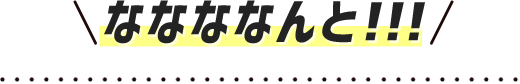 ななななんと！！！