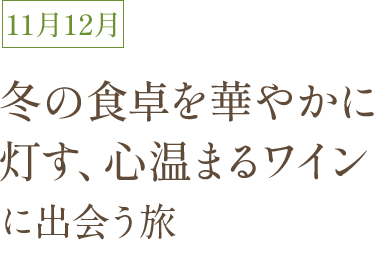 冬の食卓を華やかに灯す、心温まるワイン旅