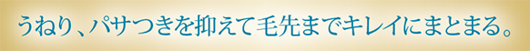 うねり、パサつきを抑えて毛先までキレイにまとまる。