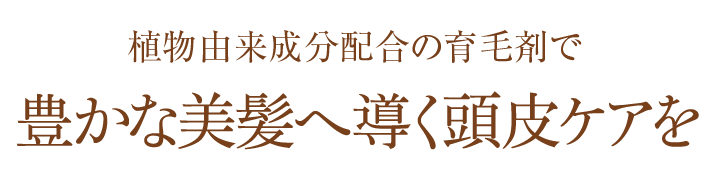 植物由来成分配合の育毛剤で豊かな美髪へ導く頭皮ケアを